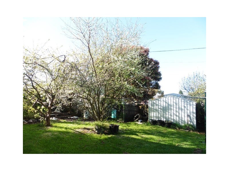 3 Salier Place, Scottsdale TAS 7260