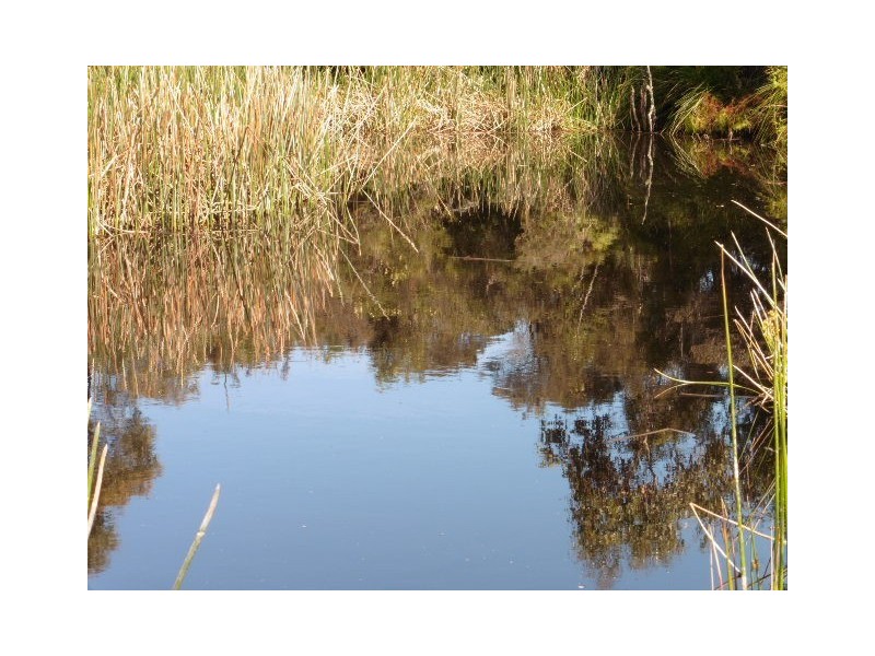 * Ten Mile Track, Scottsdale TAS 7260