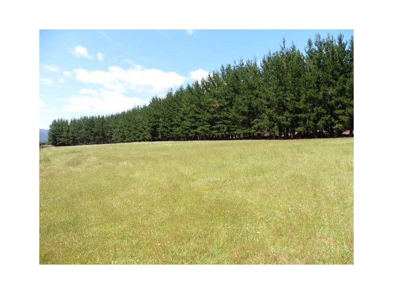 * Ten Mile Track, Scottsdale TAS 7260