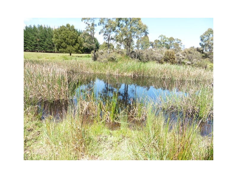 * Ten Mile Track, Scottsdale TAS 7260