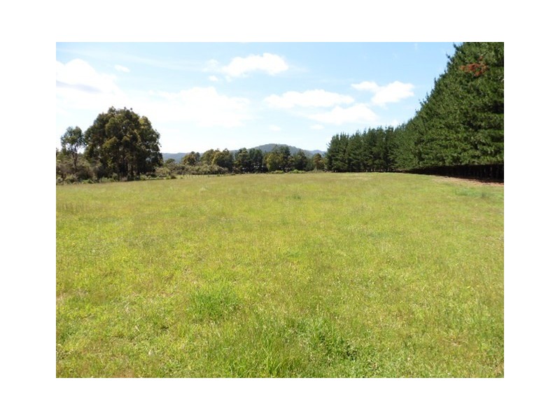 * Ten Mile Track, Scottsdale TAS 7260