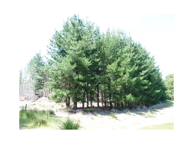 * Ten Mile Track, Scottsdale TAS 7260