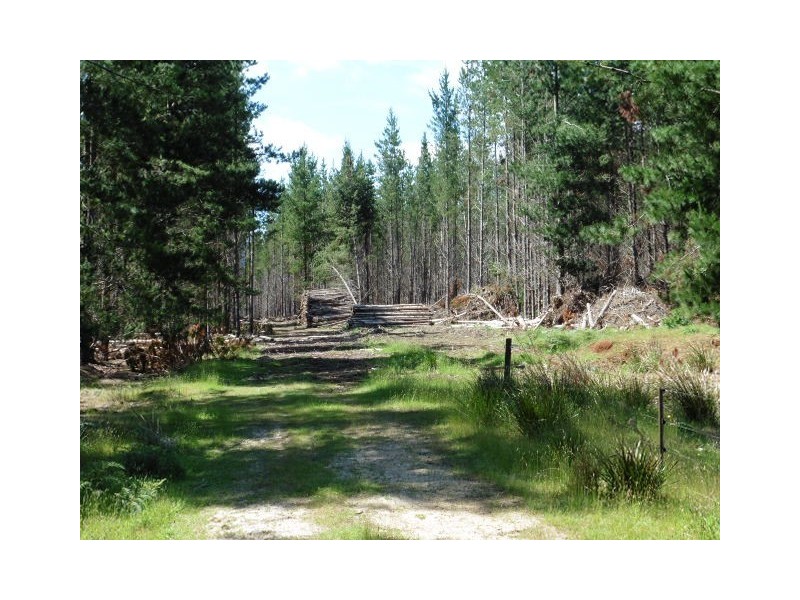 * Ten Mile Track, Scottsdale TAS 7260