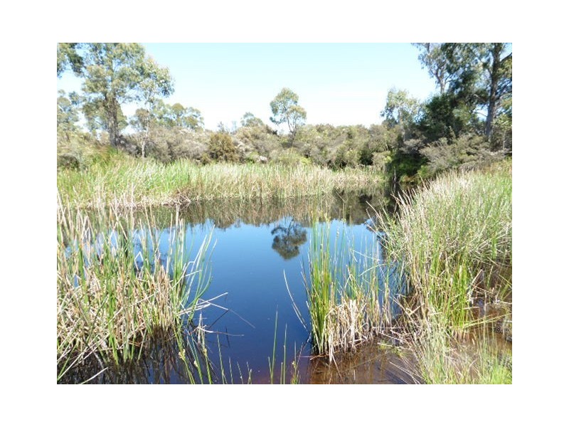 ** Ten Mile Track, Scottsdale TAS 7260