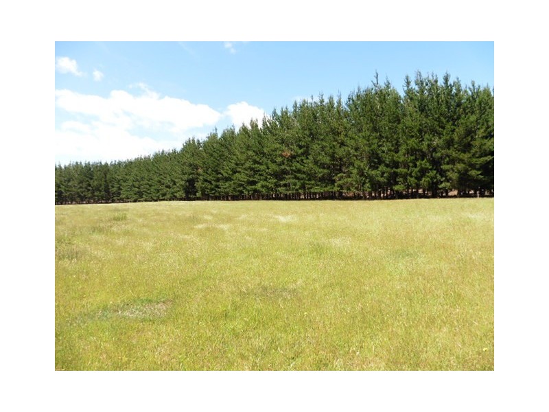 ** Ten Mile Track, Scottsdale TAS 7260