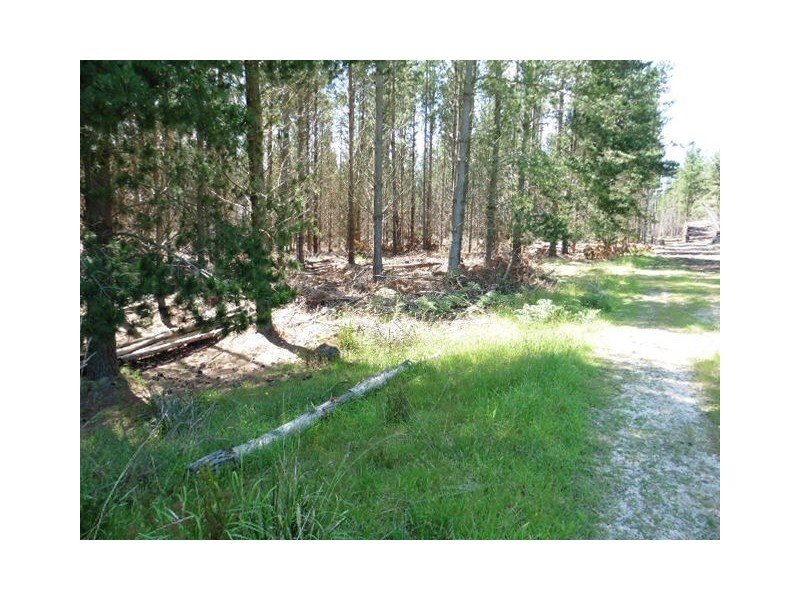 ** Ten Mile Track, Scottsdale TAS 7260