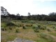 37 Main Street, Pioneer TAS 7264