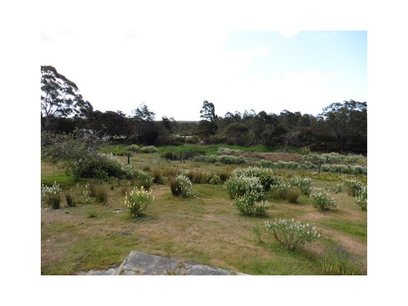 37 Main Street, Pioneer TAS 7264
