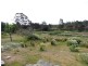 37 Main Street, Pioneer TAS 7264