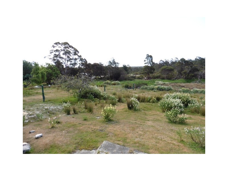 37 Main Street, Pioneer TAS 7264