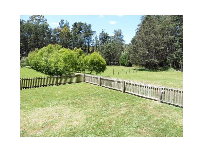 29689 Tasman Highway, Weldborough TAS 7264