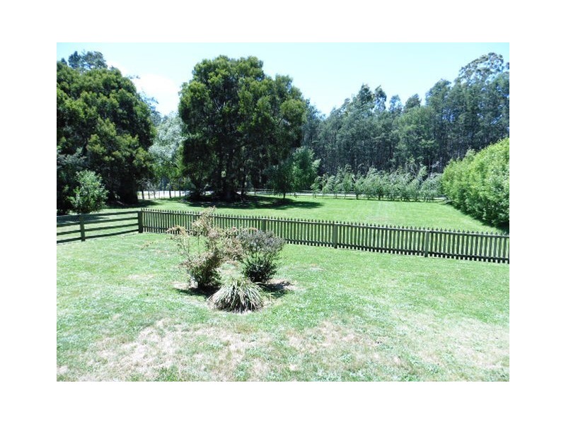 29689 Tasman Highway, Weldborough TAS 7264