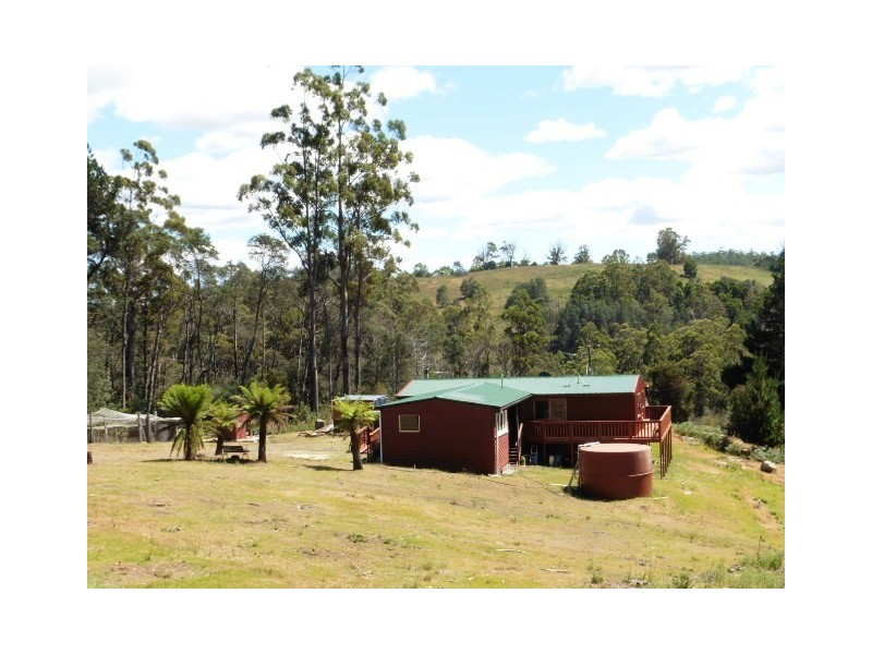 411 Mutual Road, Derby TAS 7264