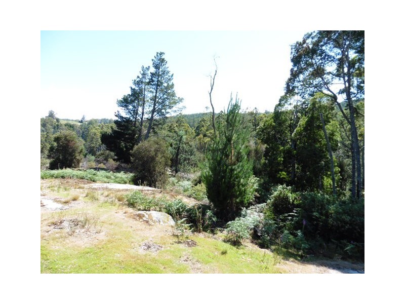 ** Mutual Road, Derby TAS 7264