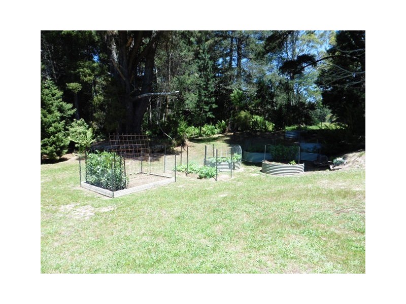 ** Tasman Highway, Weldborough TAS 7264