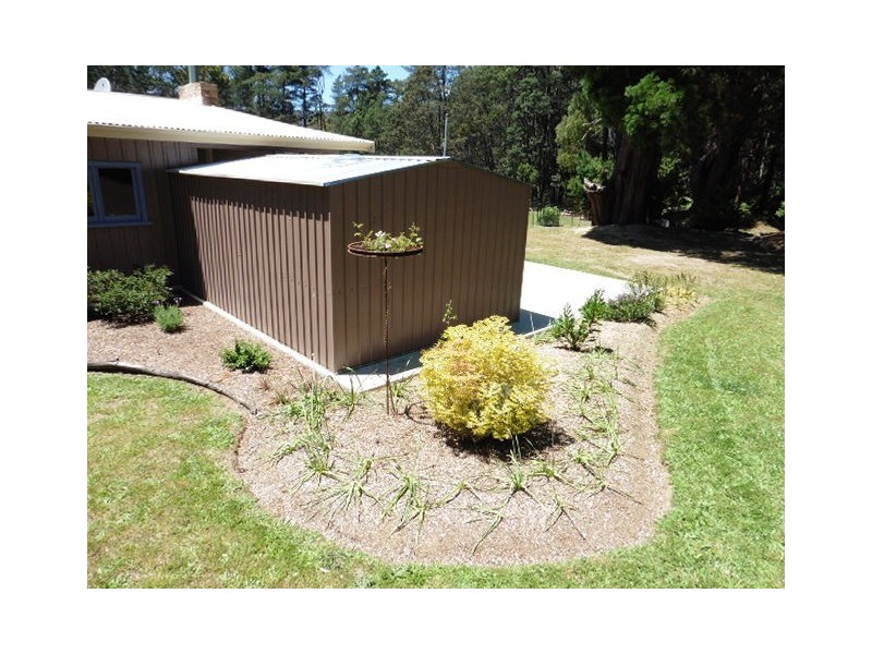 ** Tasman Highway, Weldborough TAS 7264