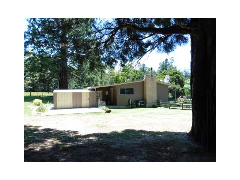 ** Tasman Highway, Weldborough TAS 7264