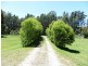 ** Tasman Highway, Weldborough TAS 7264