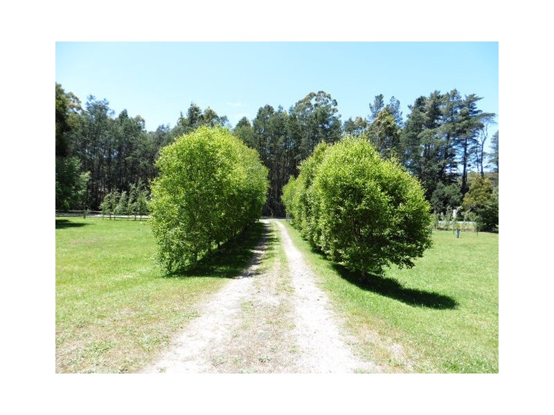 ** Tasman Highway, Weldborough TAS 7264