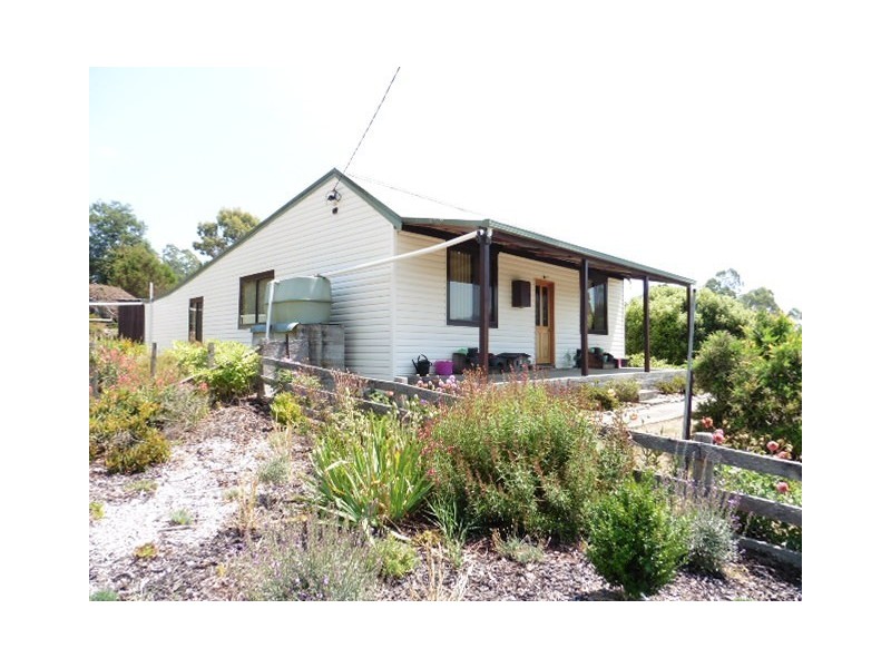 ** Tasman Highway, Weldborough TAS 7264