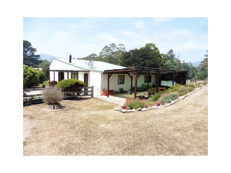 ** Tasman Highway, Weldborough TAS 7264