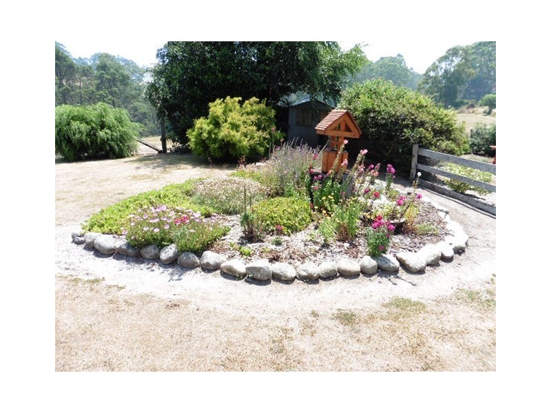 ** Tasman Highway, Weldborough TAS 7264