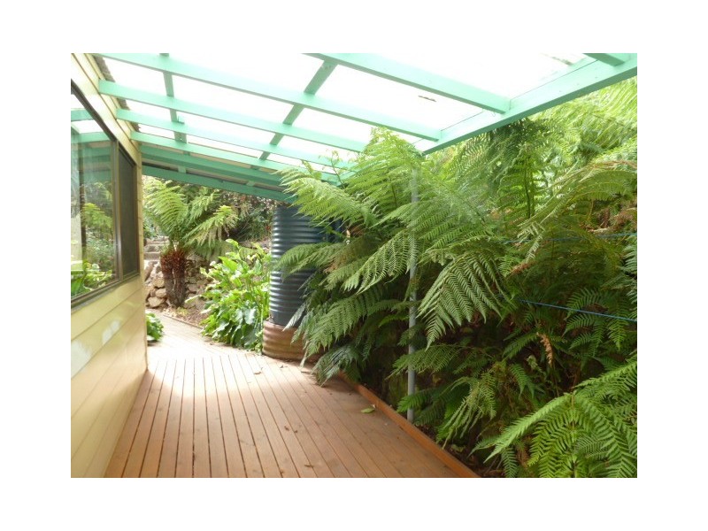 24 Scott Street, Branxholm TAS 7261