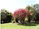 332 East Minstone Road, Scottsdale TAS 7260