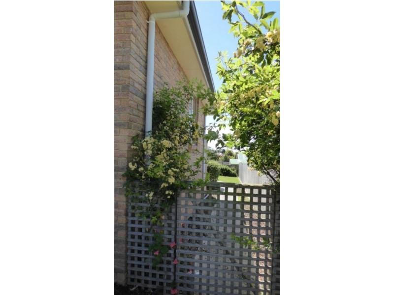 12 Thomas Street, Bridport TAS 7262