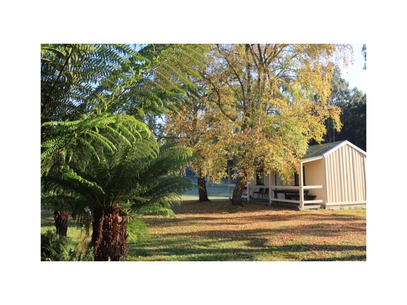 12 Main Road, Weldborough TAS 7264