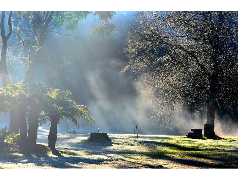 12 Main Road, Weldborough TAS 7264