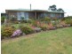 ** Racecourse Road, Winnaleah TAS 7265
