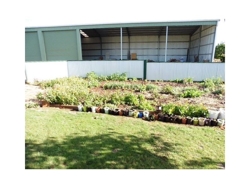 ** Racecourse Road, Winnaleah TAS 7265