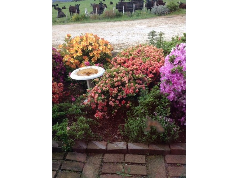 ** Racecourse Road, Winnaleah TAS 7265