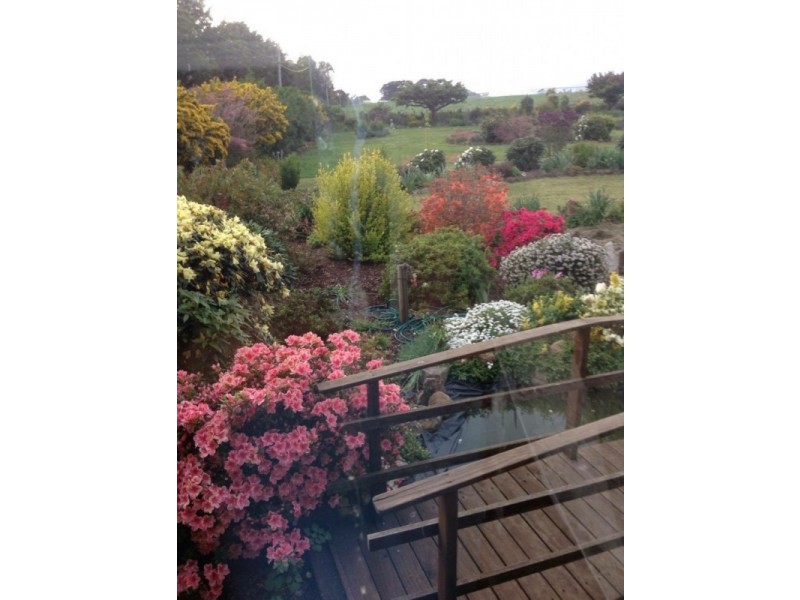 ** Racecourse Road, Winnaleah TAS 7265