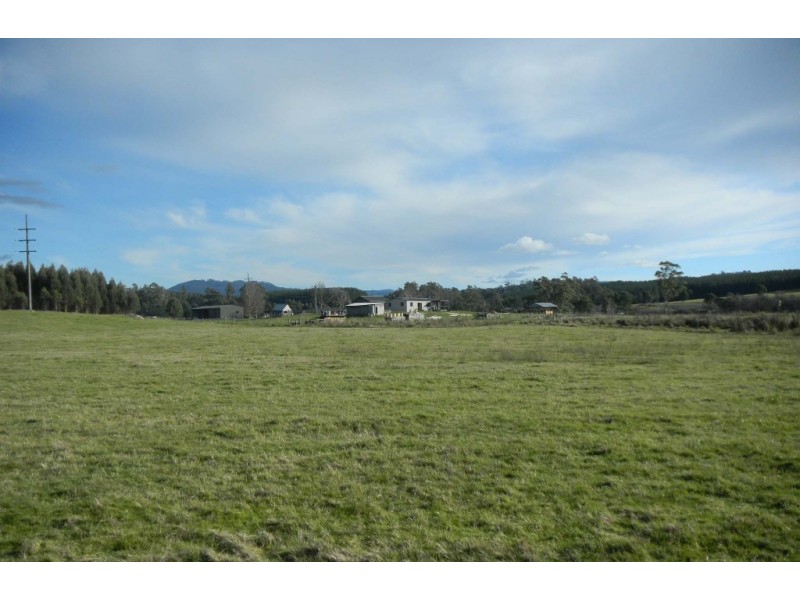 * Cuckoo Road, Scottsdale TAS 7260