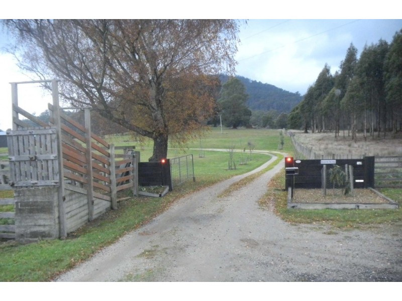 * Cuckoo Road, Scottsdale TAS 7260