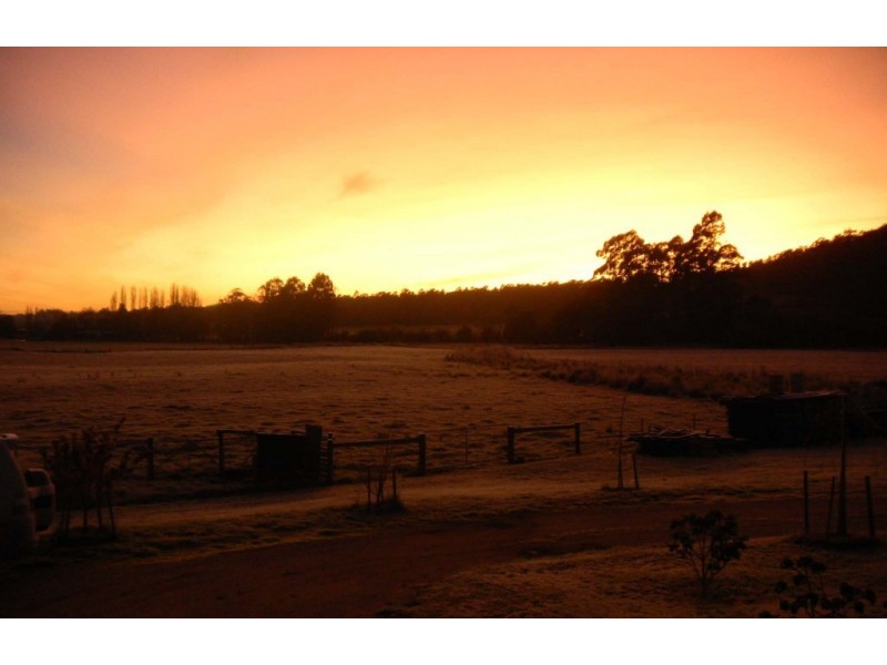 * Cuckoo Road, Scottsdale TAS 7260