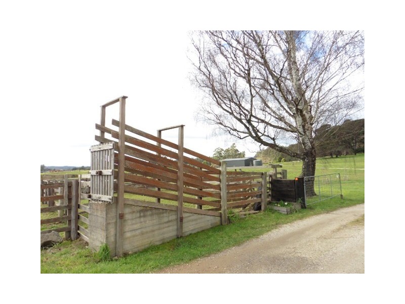 * Cuckoo Road, Scottsdale TAS 7260