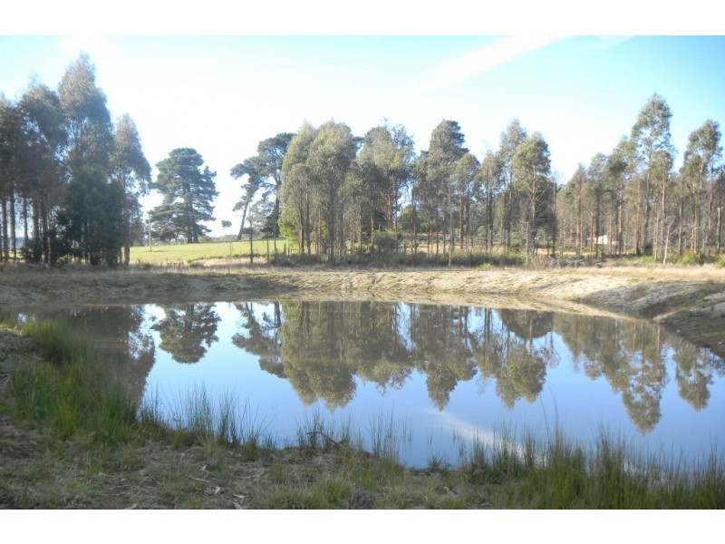 * Cuckoo Road, Scottsdale TAS 7260