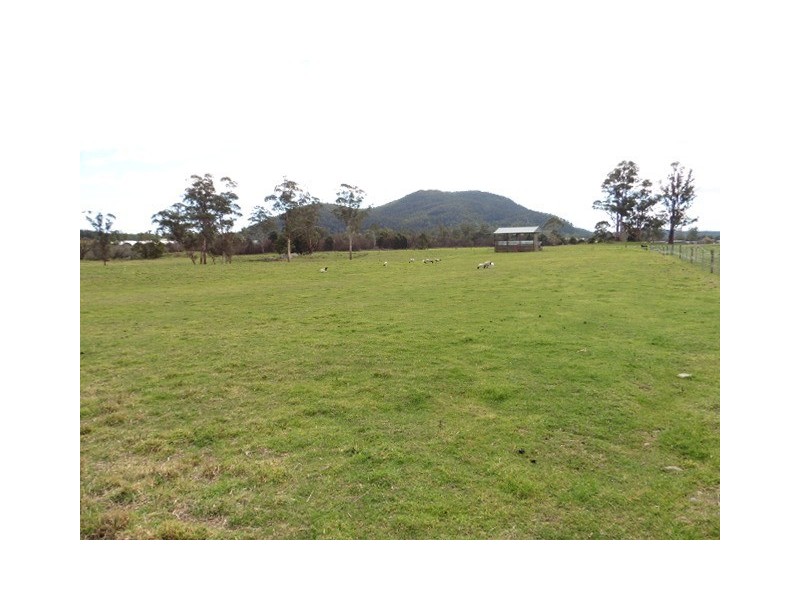 * Cuckoo Road, Scottsdale TAS 7260