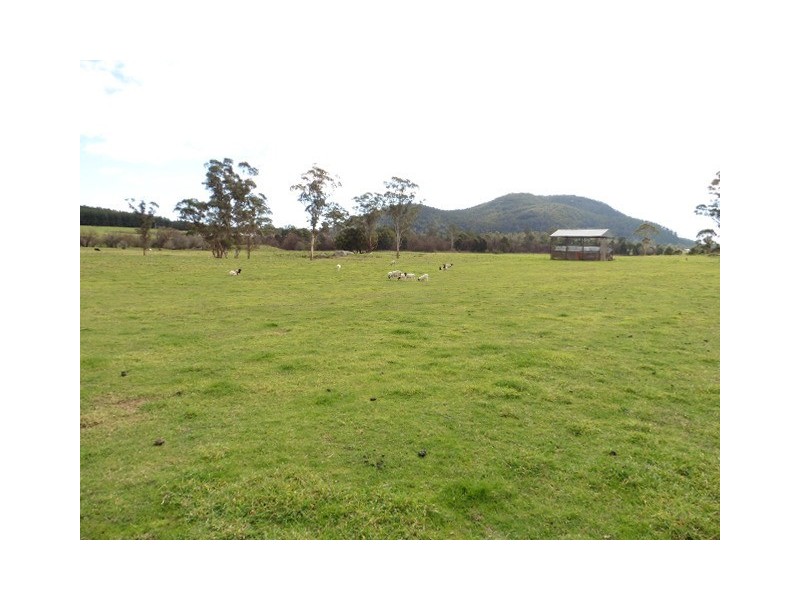 * Cuckoo Road, Scottsdale TAS 7260