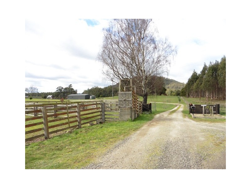 * Cuckoo Road, Scottsdale TAS 7260