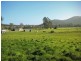 169 Cuckoo Road, Cuckoo, Scottsdale TAS 7260
