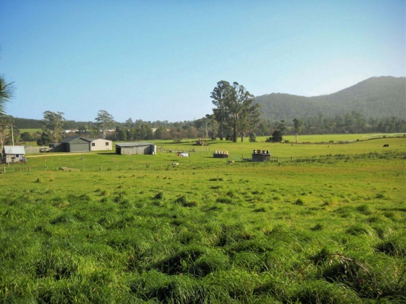 169 Cuckoo Road, Cuckoo, Scottsdale TAS 7260