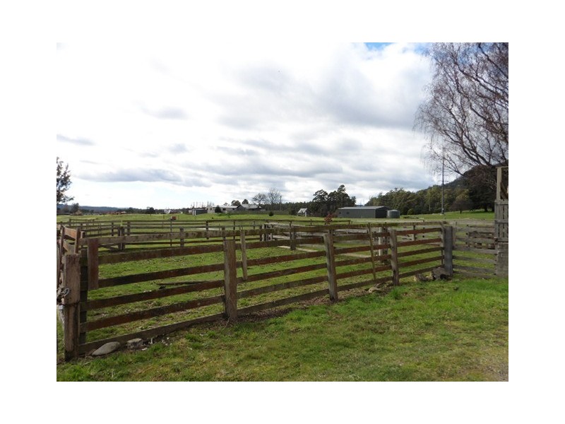 169 Cuckoo Road, Cuckoo, Scottsdale TAS 7260