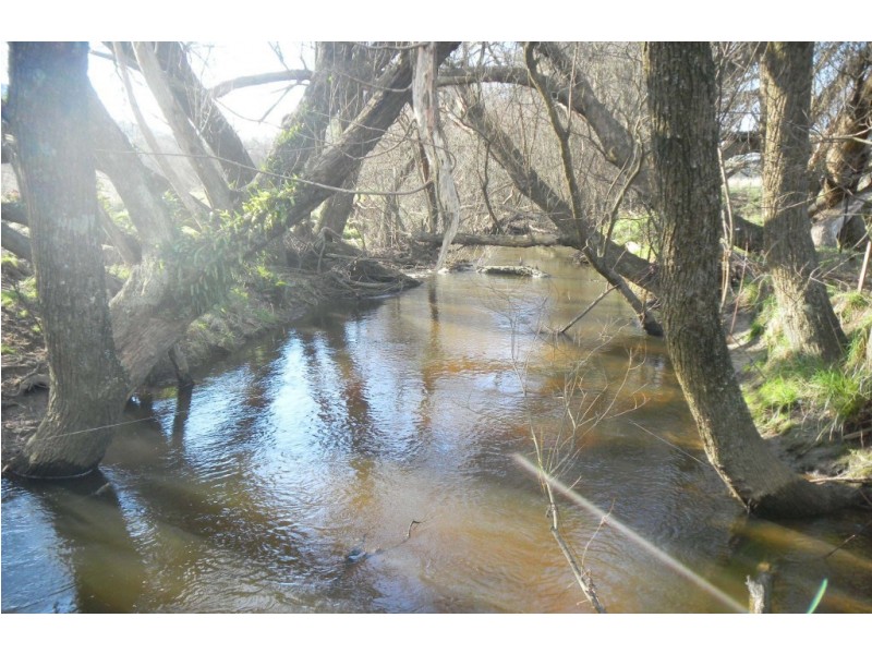 169 Cuckoo Road, Cuckoo, Scottsdale TAS 7260