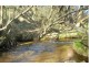 169 Cuckoo Road, Cuckoo, Scottsdale TAS 7260