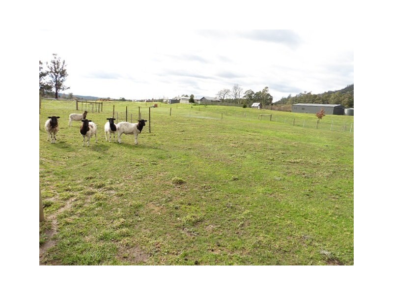 169 Cuckoo Road, Cuckoo, Scottsdale TAS 7260