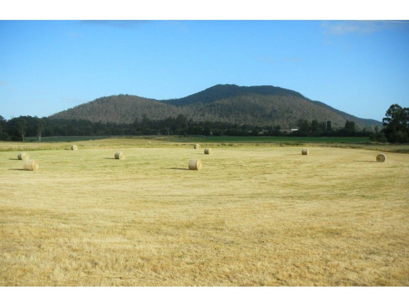 169 Cuckoo Road, Cuckoo, Scottsdale TAS 7260